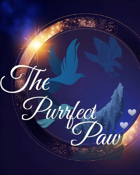 The Purrfect Paw