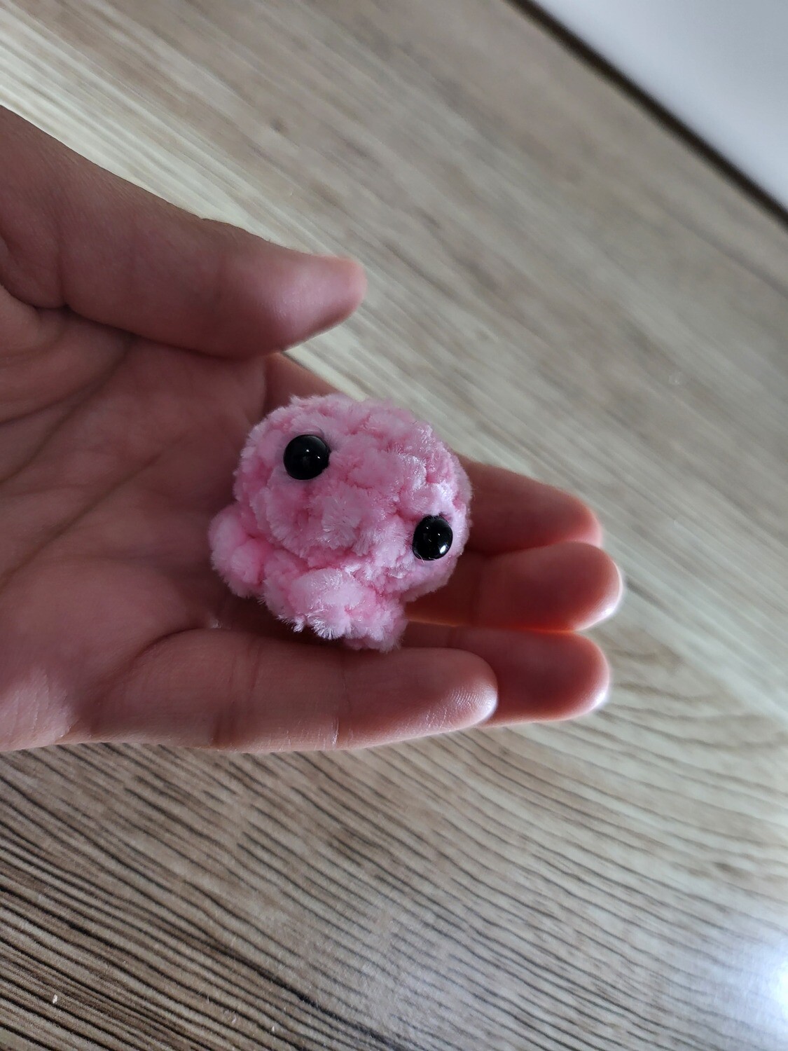 Mini octopus