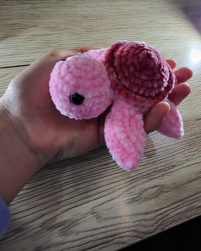 Turtle