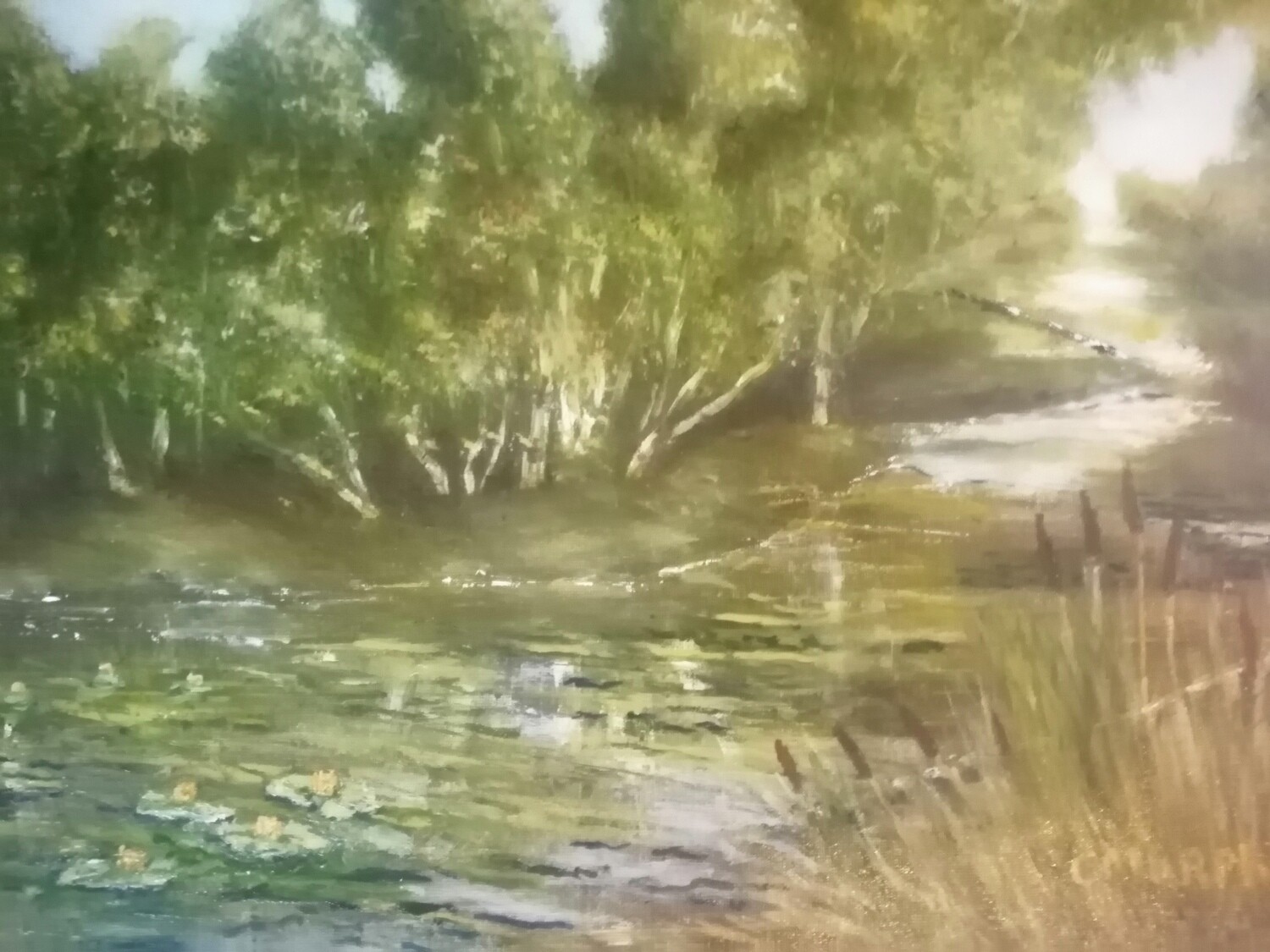 Stream with waterlilys and bullrushes