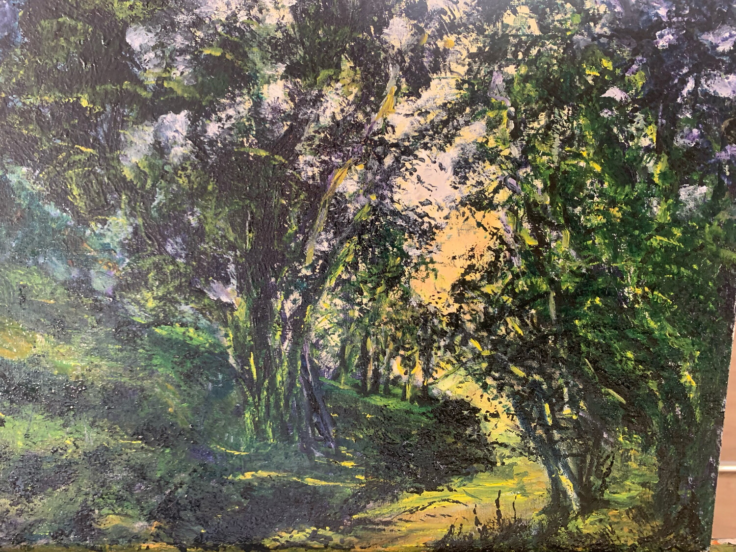 Moonlit Forest