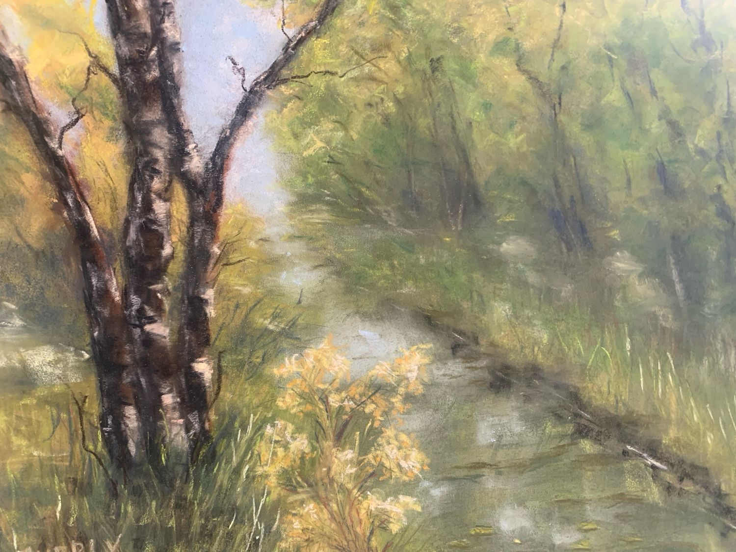 Trees By The Stream