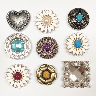 Conchos