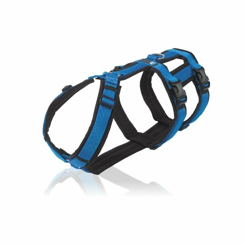 Geschirr Safety schwarz / blau