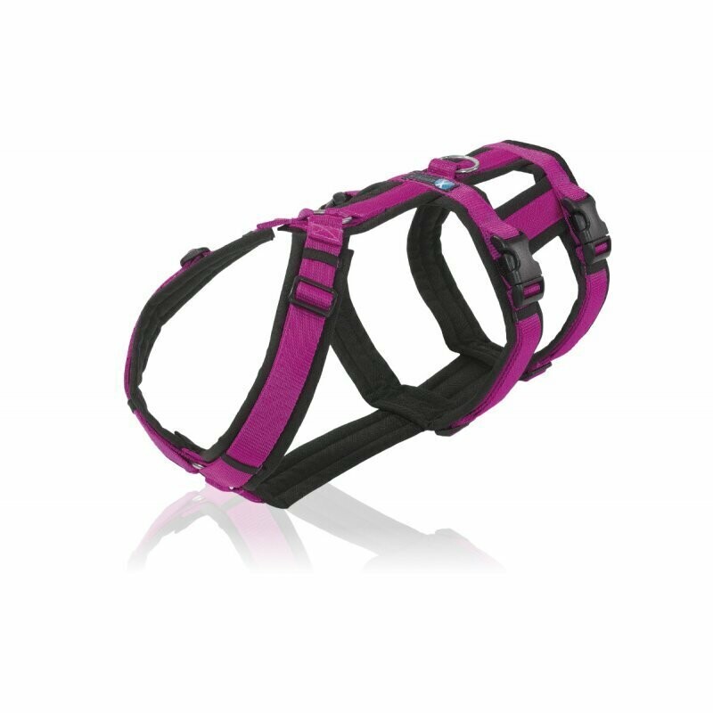 Geschirr Safety schwarz / pink