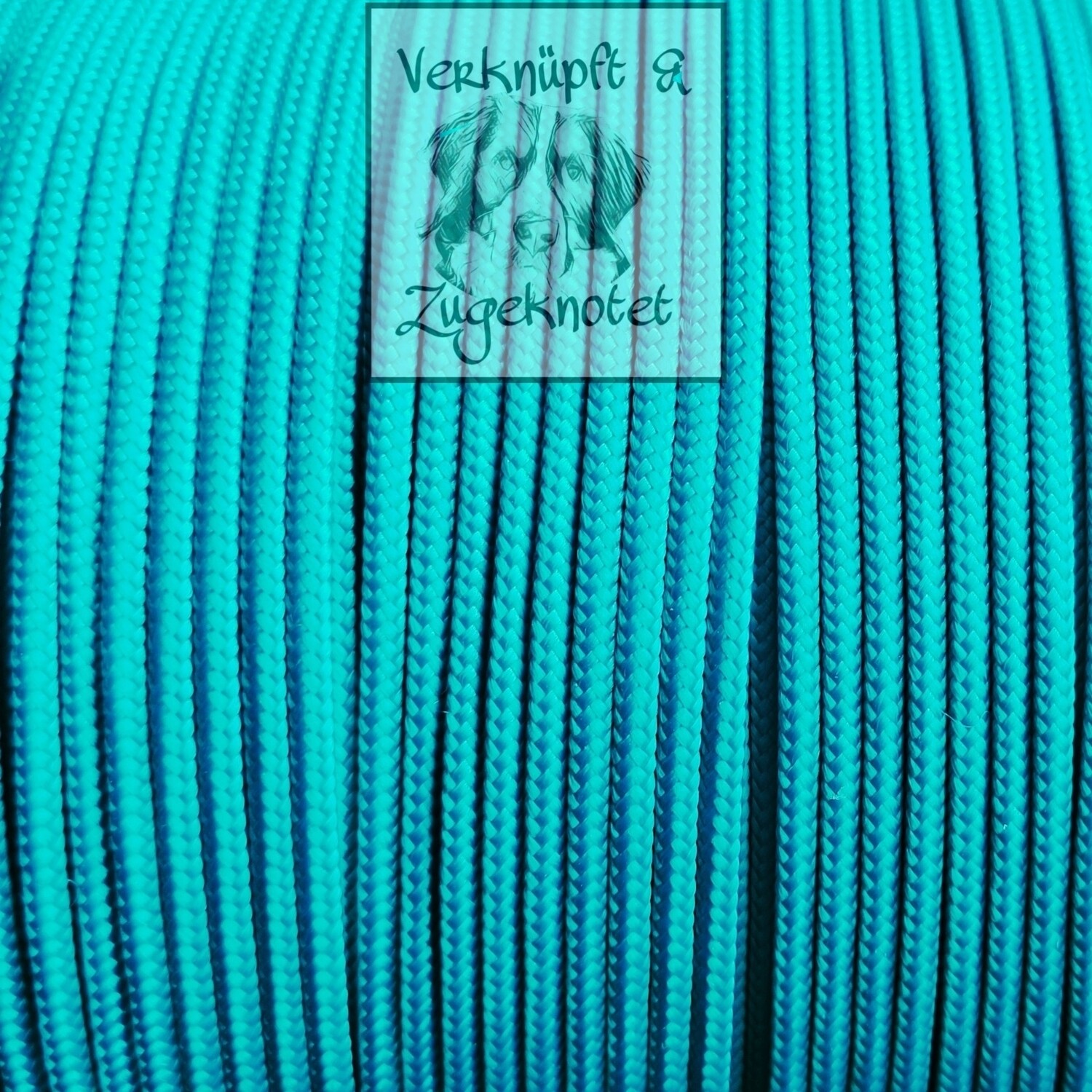🟢 Light Teal EU Typ I
