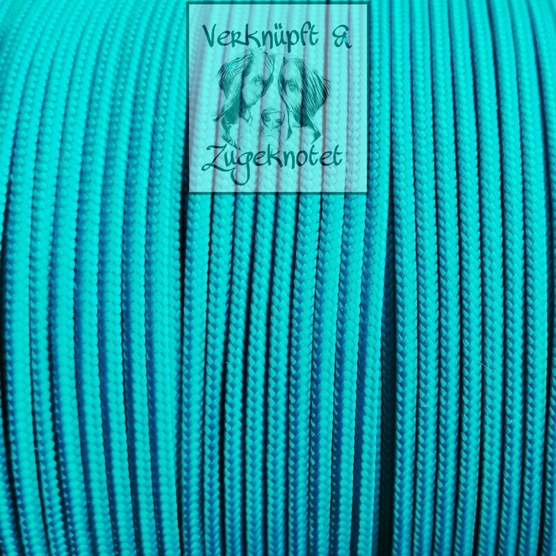 🟢 Light Teal EU Typ I