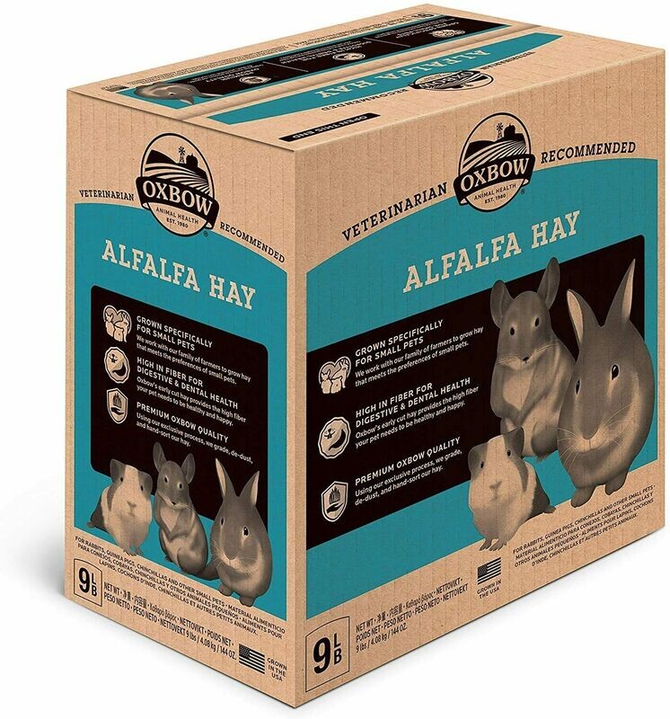 Oxbow Alfalfa Hay fieno per conigli giovani con erba medica 4,08kg