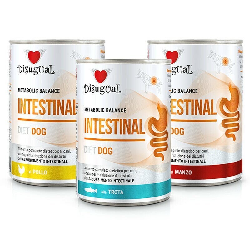 Disugual Intestinal Alimento umido per cani gastrointestinal 400 g