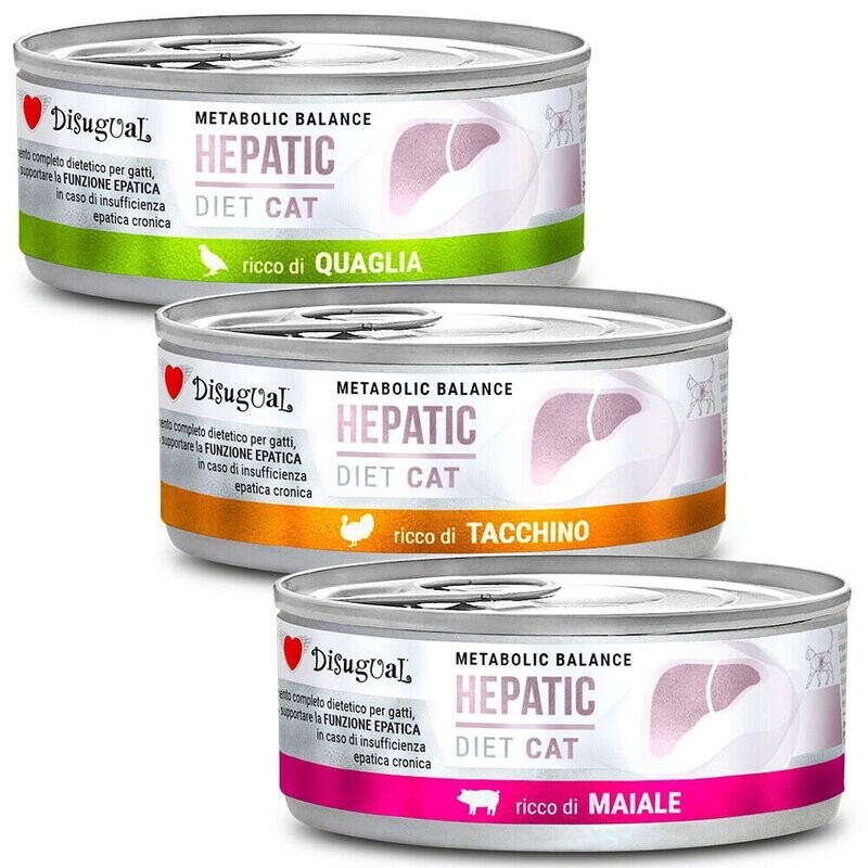 Disugual Hepatic Cat