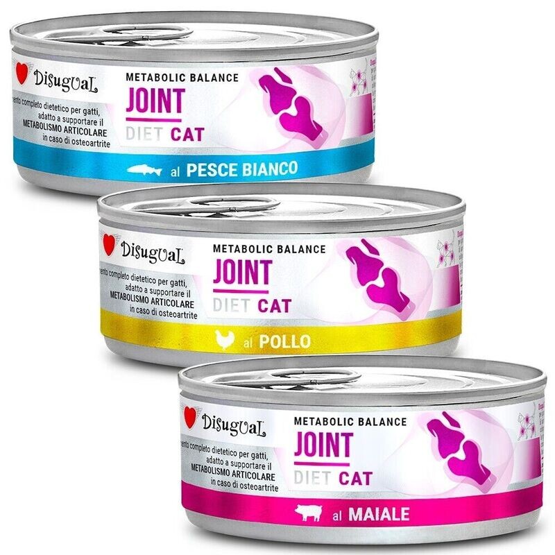 Disugual Joint Cat