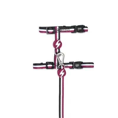 Dashi Cat Harness + Leash Pettorina e guinzaglio per gatto modello STRIPES Purple e Black