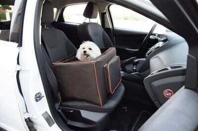 Camon Walky Pet Drive Box Plus Trasportino per Auto per Cani Box da Trasporto