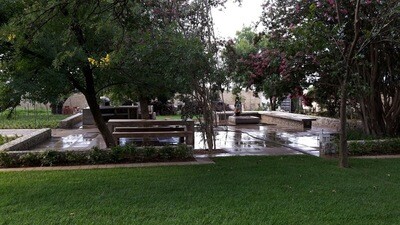 Landscape Design &amp; Irrigation Consultation