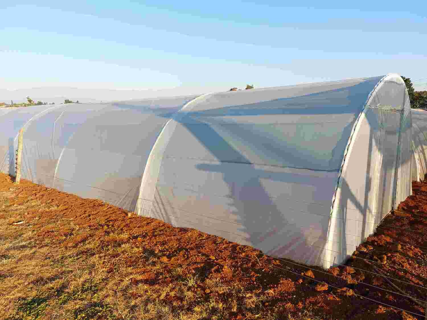 GREENHOUSE TUNNEL 4.2m (W) x 2.2m (H) x 3.0m (L)