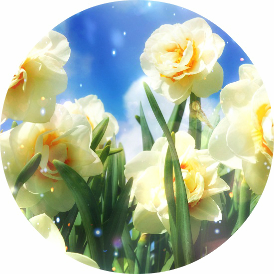 Activation of The Power of The Voice