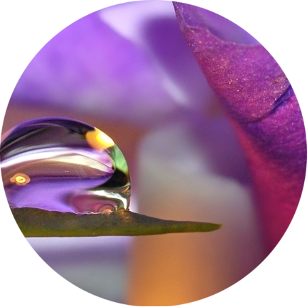 The Body as a Tool of Manifestation – Evolution of the Body 2