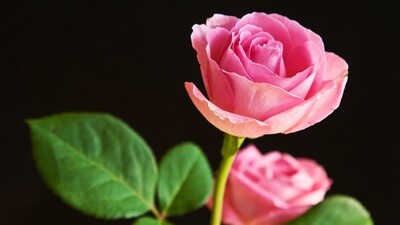 My Being Is My Sustenance Musical Ceremony