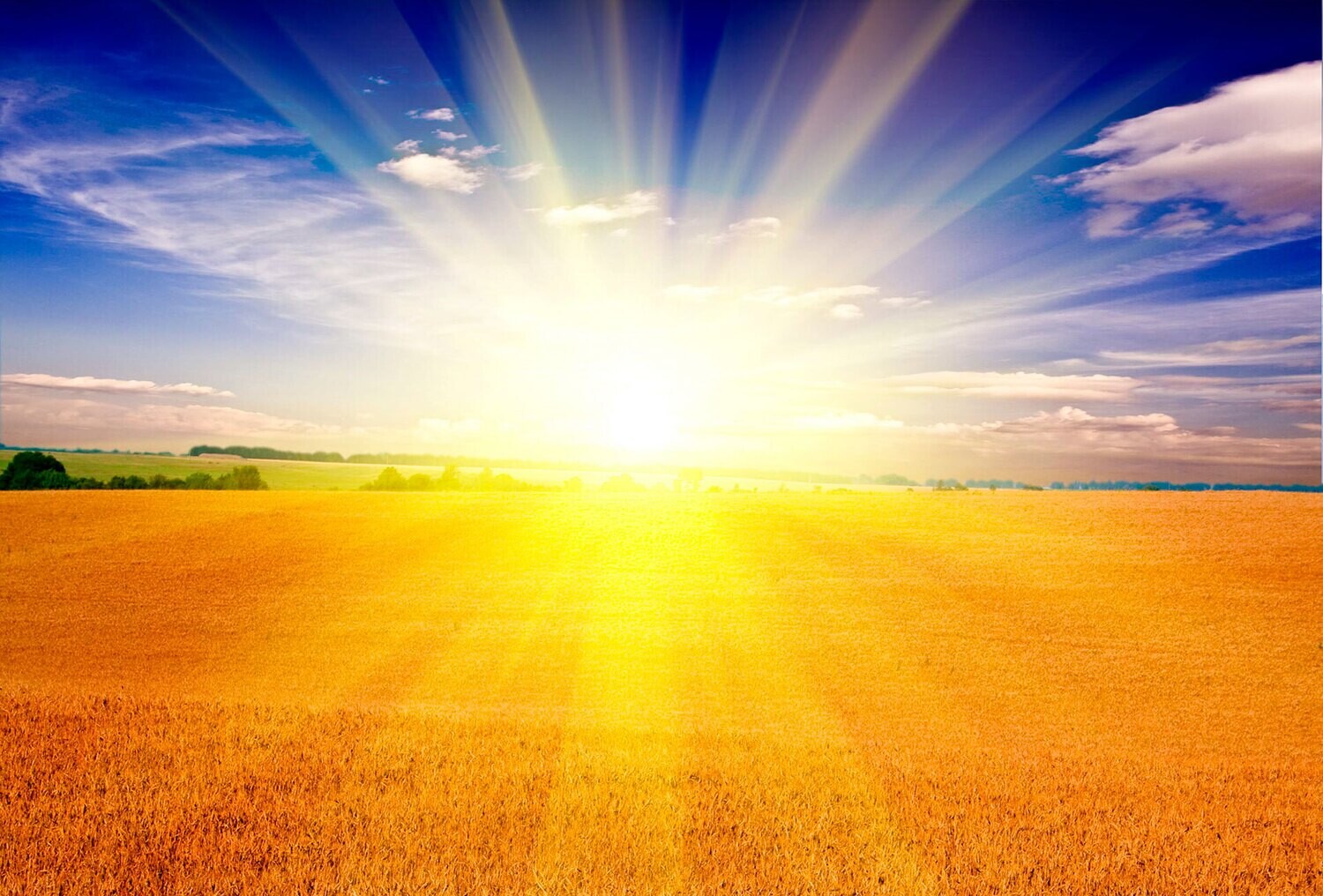 The Splendor of Your Greatness