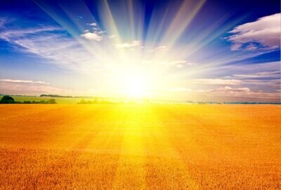 The Splendor of Your Greatness