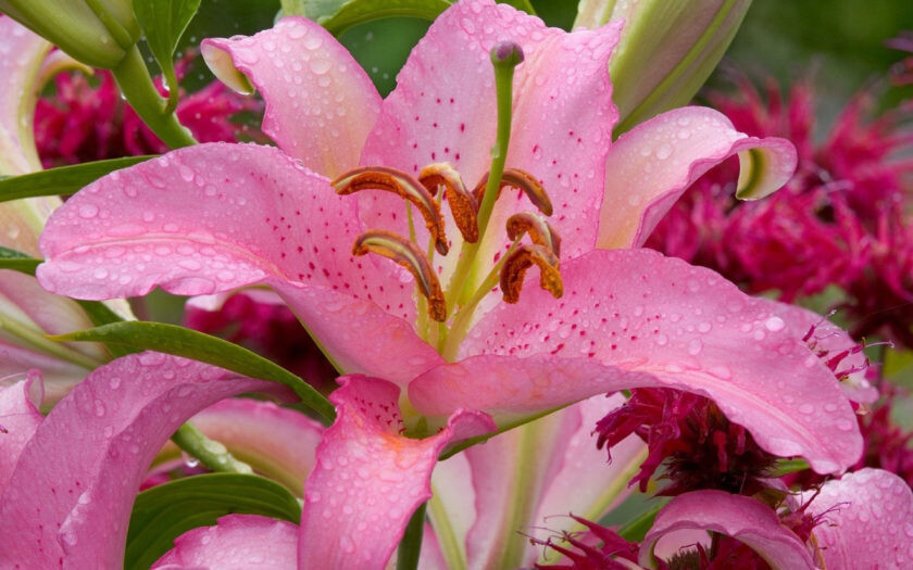 Optimism, Hope and Magical Perspective Musical Power Sigil
