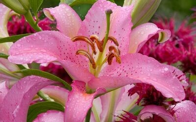 Optimism, Hope and Magical Perspective Musical Power Sigil