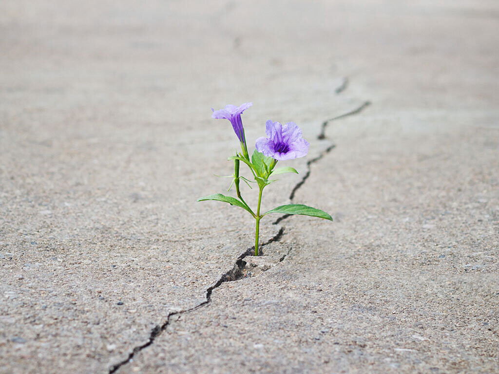 Inner Technologies: The Science of Self-Empowerment, Part 3