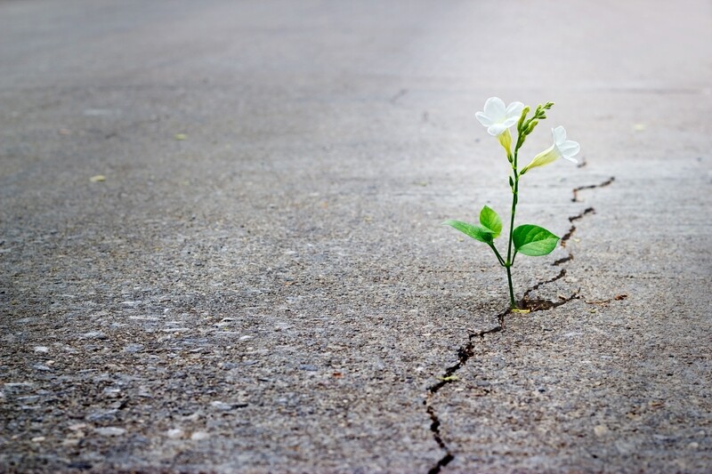 Inner Technologies: The Science of Self-Empowerment, Part 4