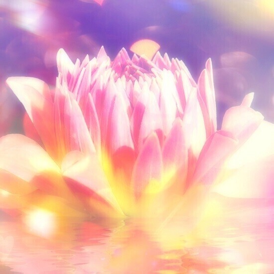 &quot;The Healing Light&quot; Music Album