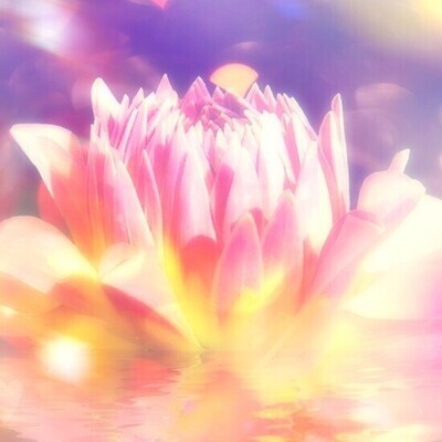 &quot;The Healing Light&quot; Music Album