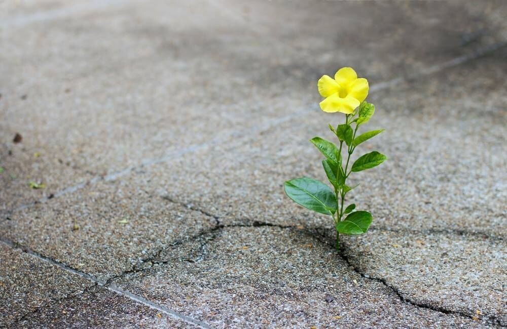 Inner Technologies, Part 9: Spiritual Practices – Blessings or Limitations?