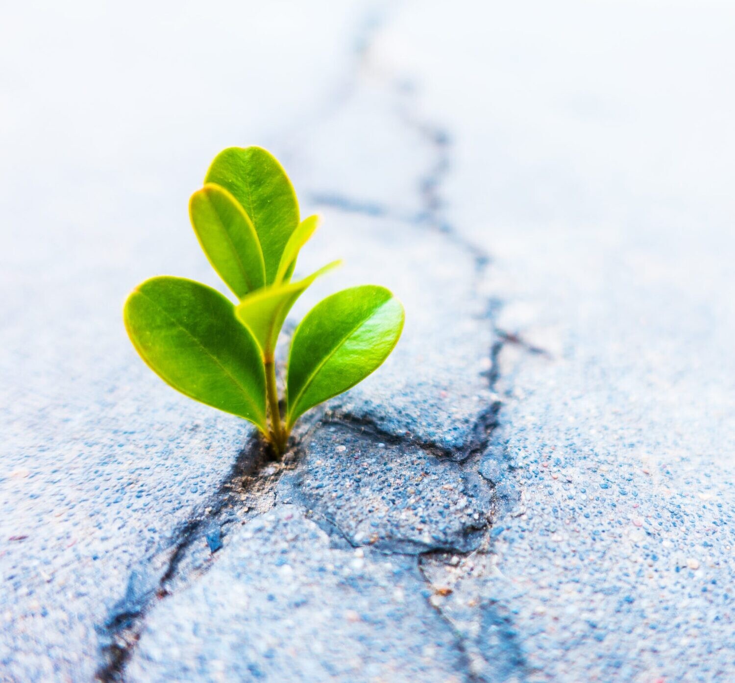 Inner Technologies 11: The Power of Holiness