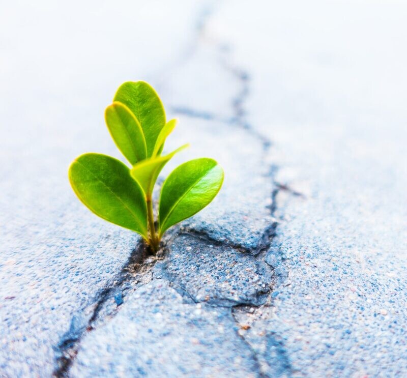 Inner Technologies 11: The Power of Holiness