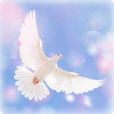 &quot;The Song of Peace&quot; Sound Elixir