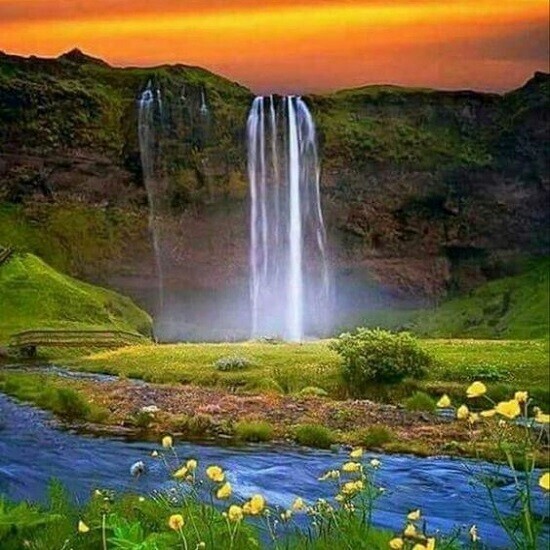 Musical Meditation &quot;Field of The One&quot;