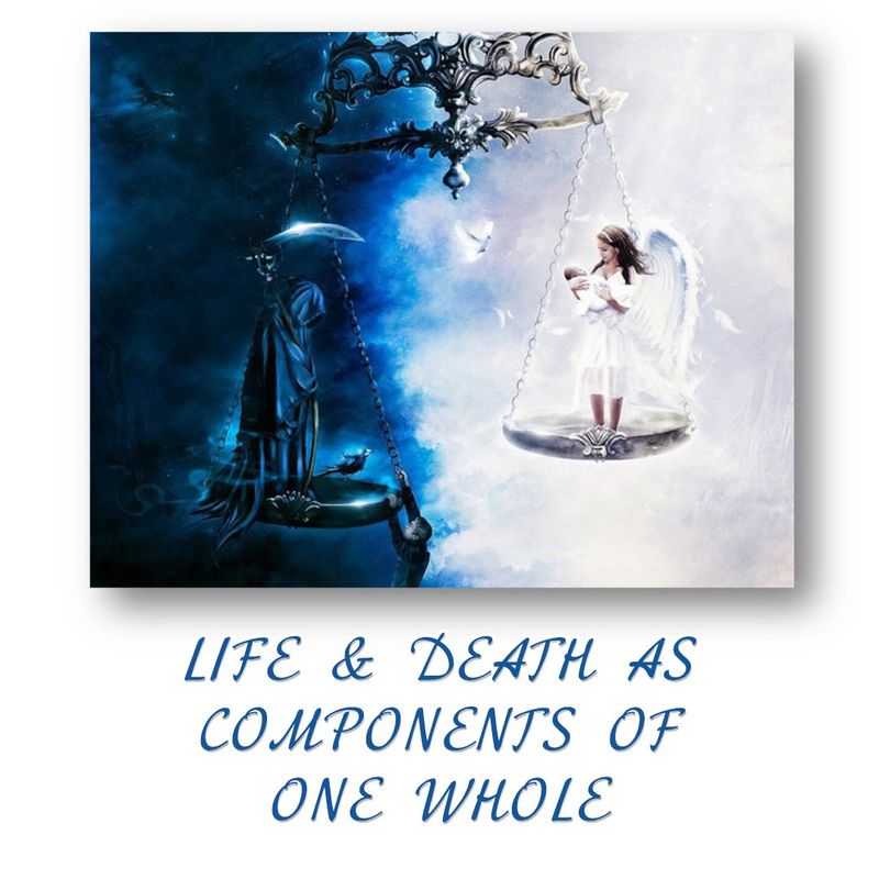 Life &amp; Death as Components of One Whole