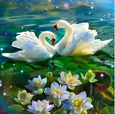 The Pure Emotions Musical Album