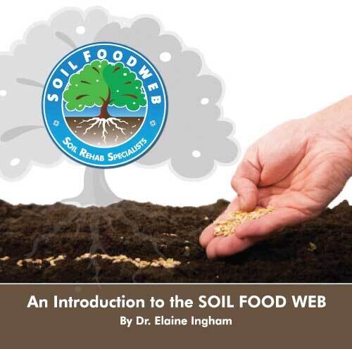 Introduction to the Soil Foodweb - downloadable mp3
