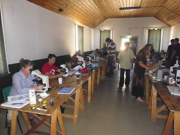 3 Day Workshop 25th - 27th March 2024 (Inclusive) intermediate microscope use course