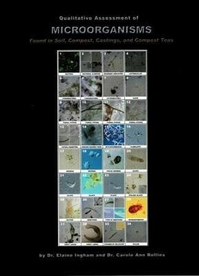 Qualitative Assessment of Microorganisms Poster