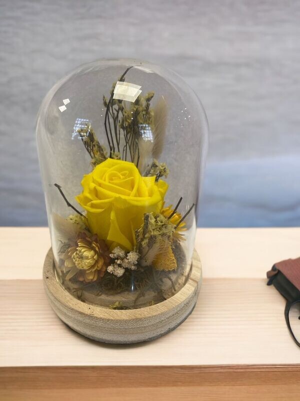 ROSE ETERNELLE JAUNE sous globe