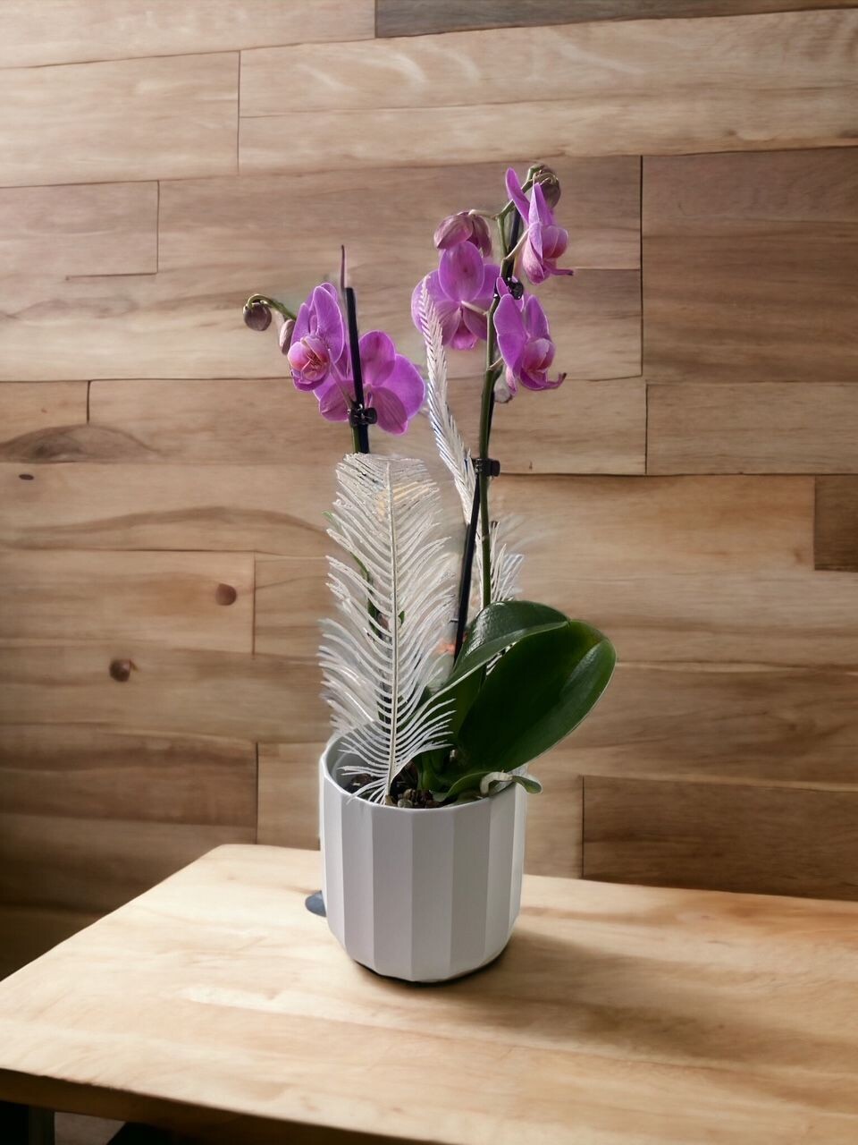 Orchidée - Boutique Fleur Delangle