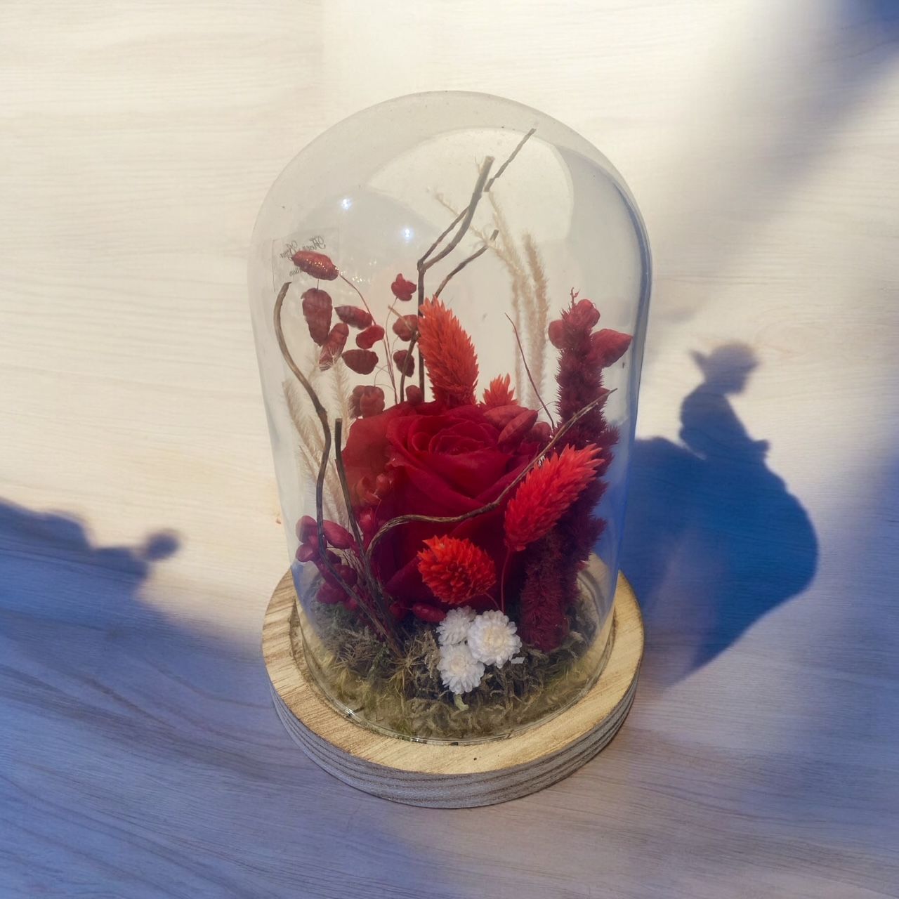 Roses rouges éternelles sous globe