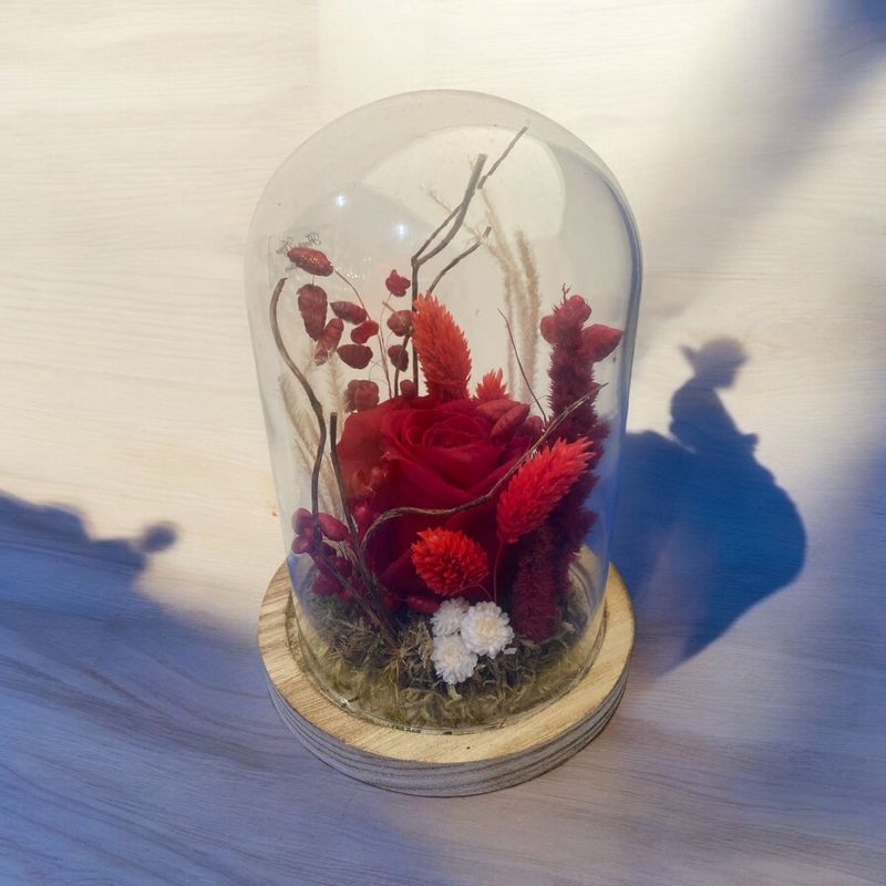 Roses rouges éternelles sous globe