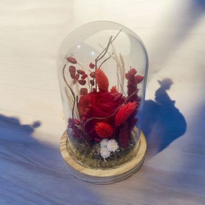 Roses rouges éternelles sous globe