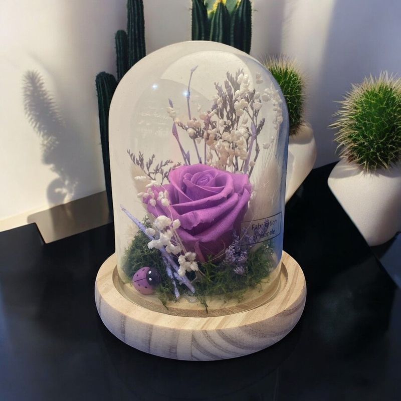 rose éternelle violine sous globe