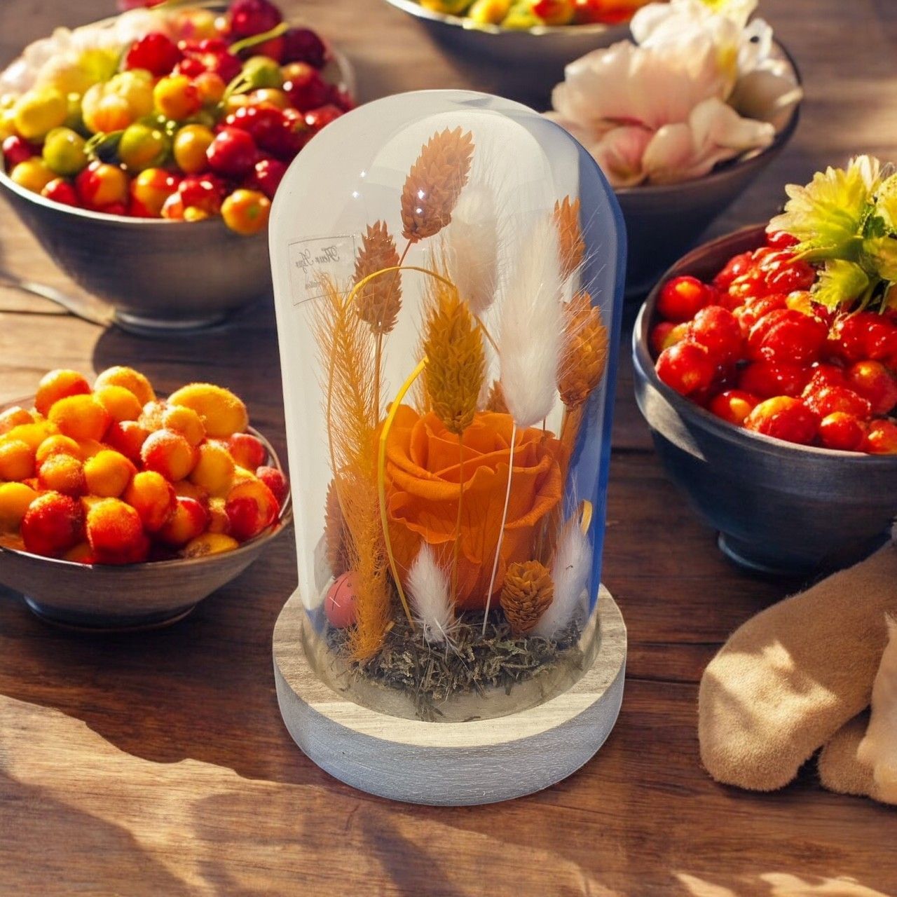 Rose éternelle orange sous globe