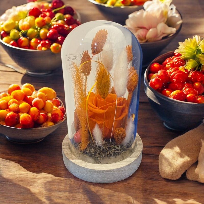 Rose éternelle orange sous globe