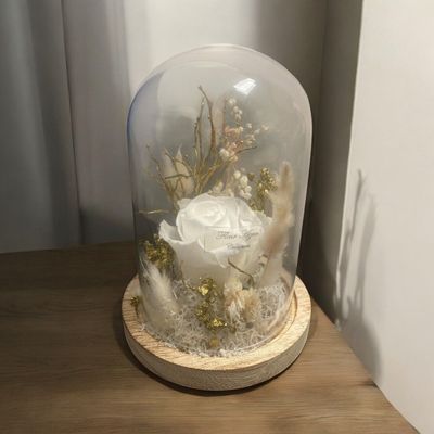 Rose éternelle sous globe blanche