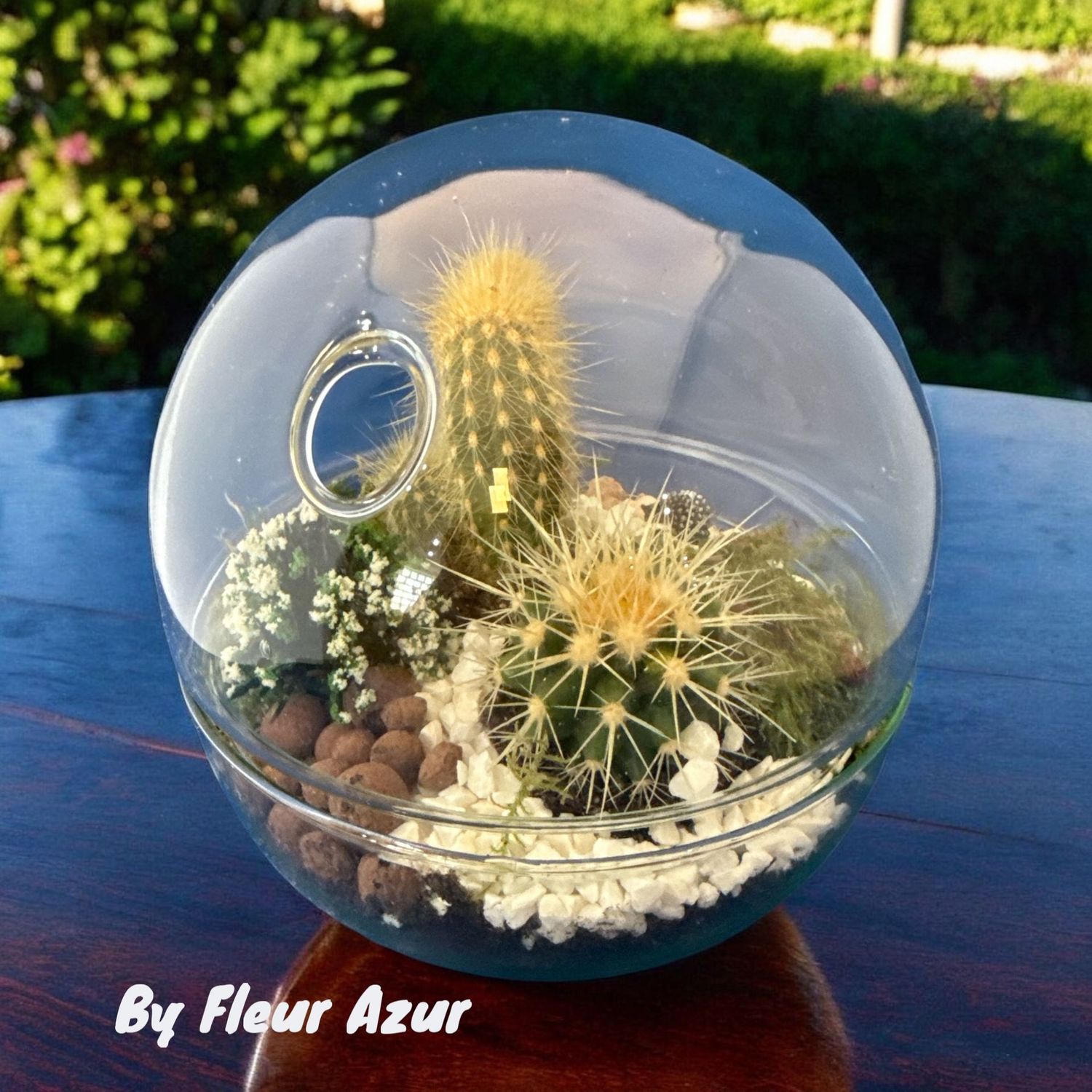 TERRARIUM CACTEE